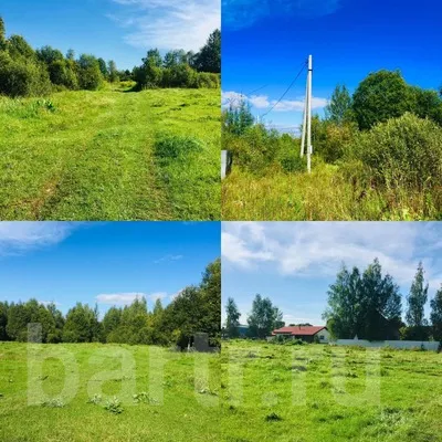 Миниатюра 2