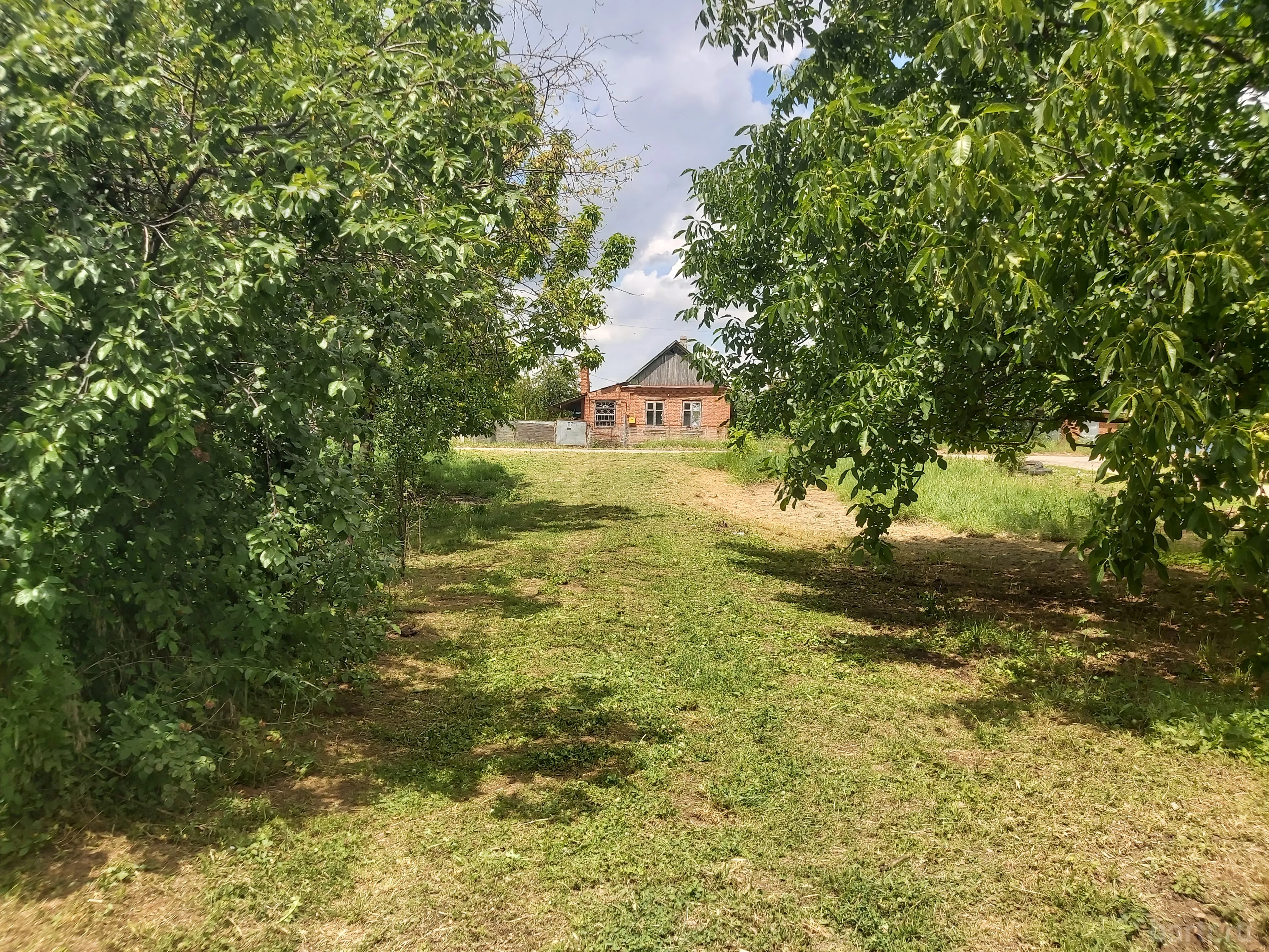 Миниатюра 2