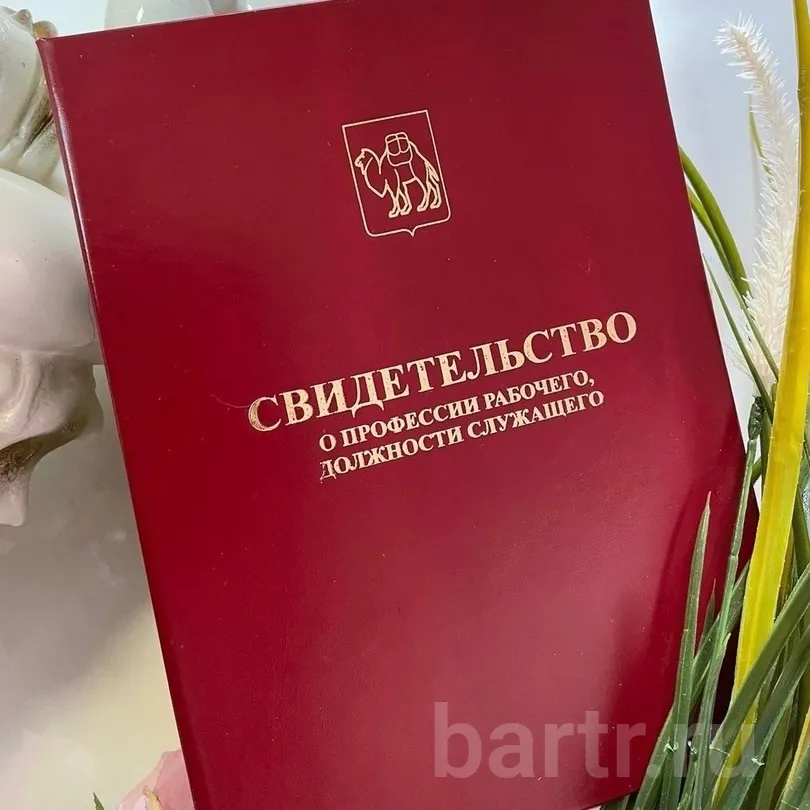 Миниатюра 3
