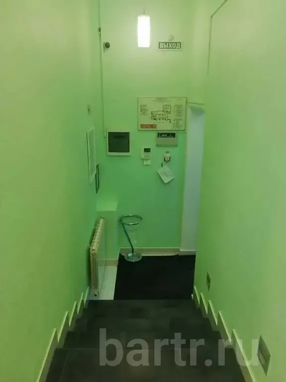 Миниатюра 12