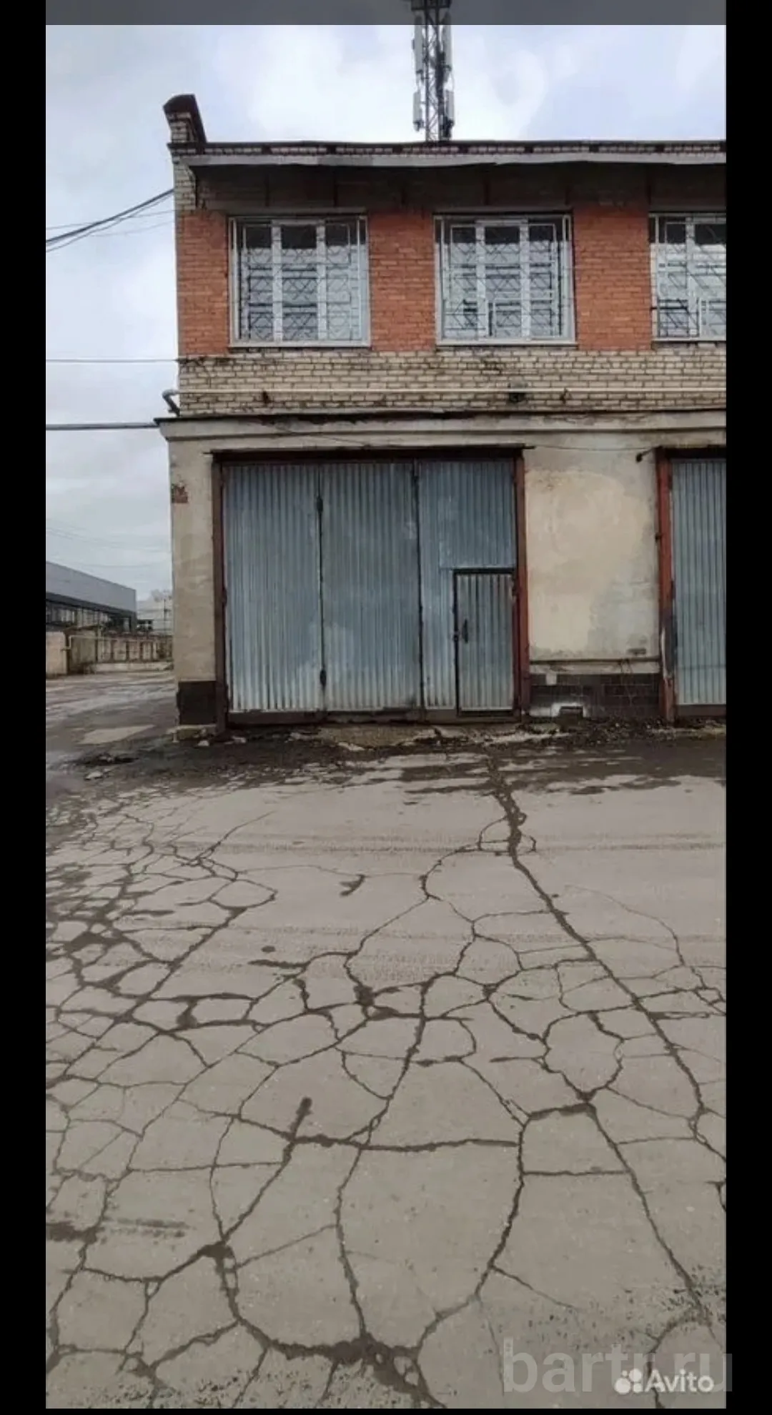Миниатюра 4