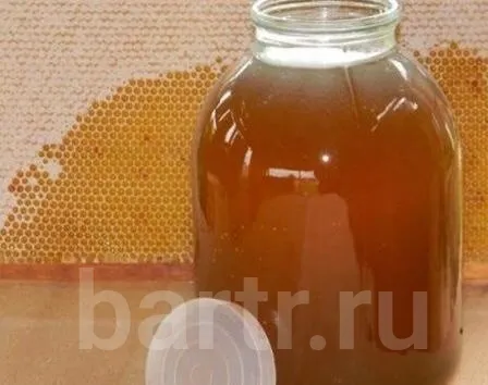 Фото: Мед