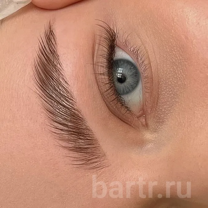 Миниатюра 13
