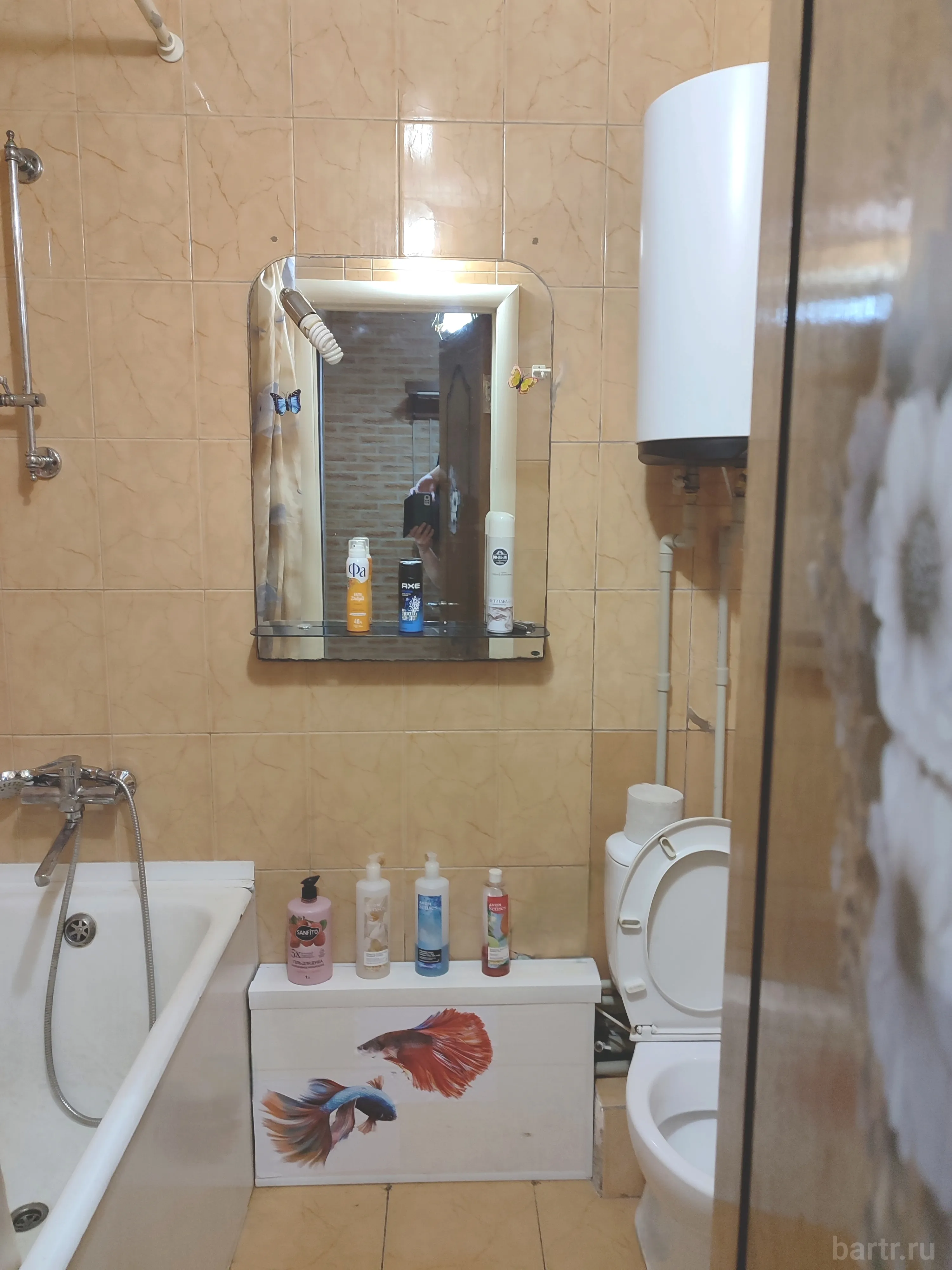 Миниатюра 5