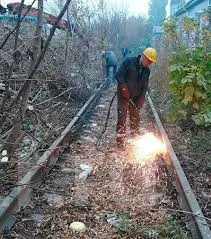 Миниатюра 13