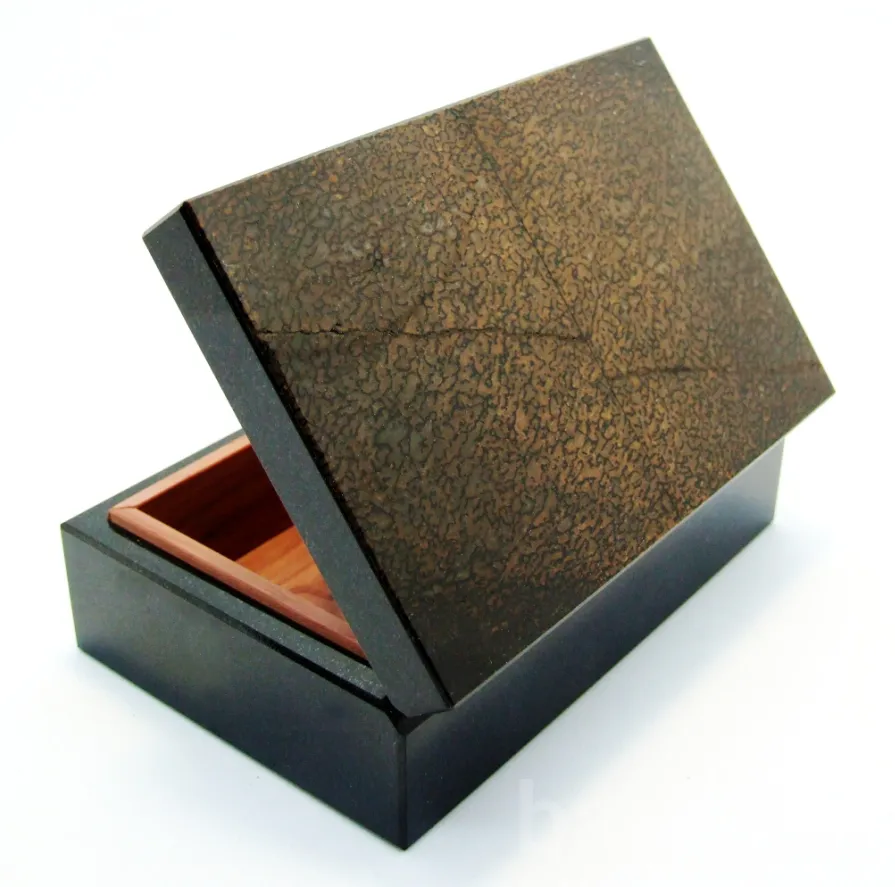 Фото: Динозавр - Подарочная Шкатулка из окаменевшей кости - камня Динобон