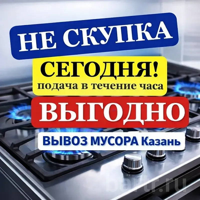 Изображение 1 из 1