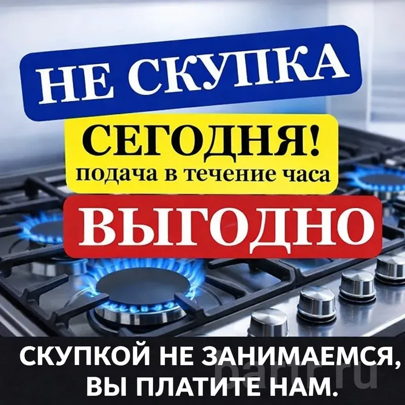 Изображение 1 из 1