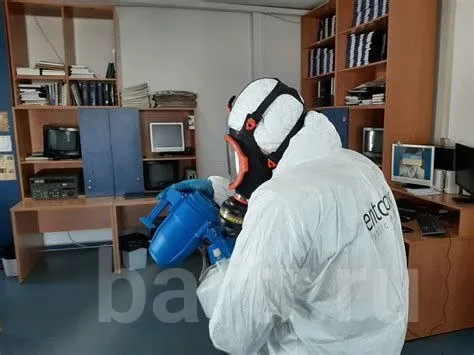 Изображение 1 из 1