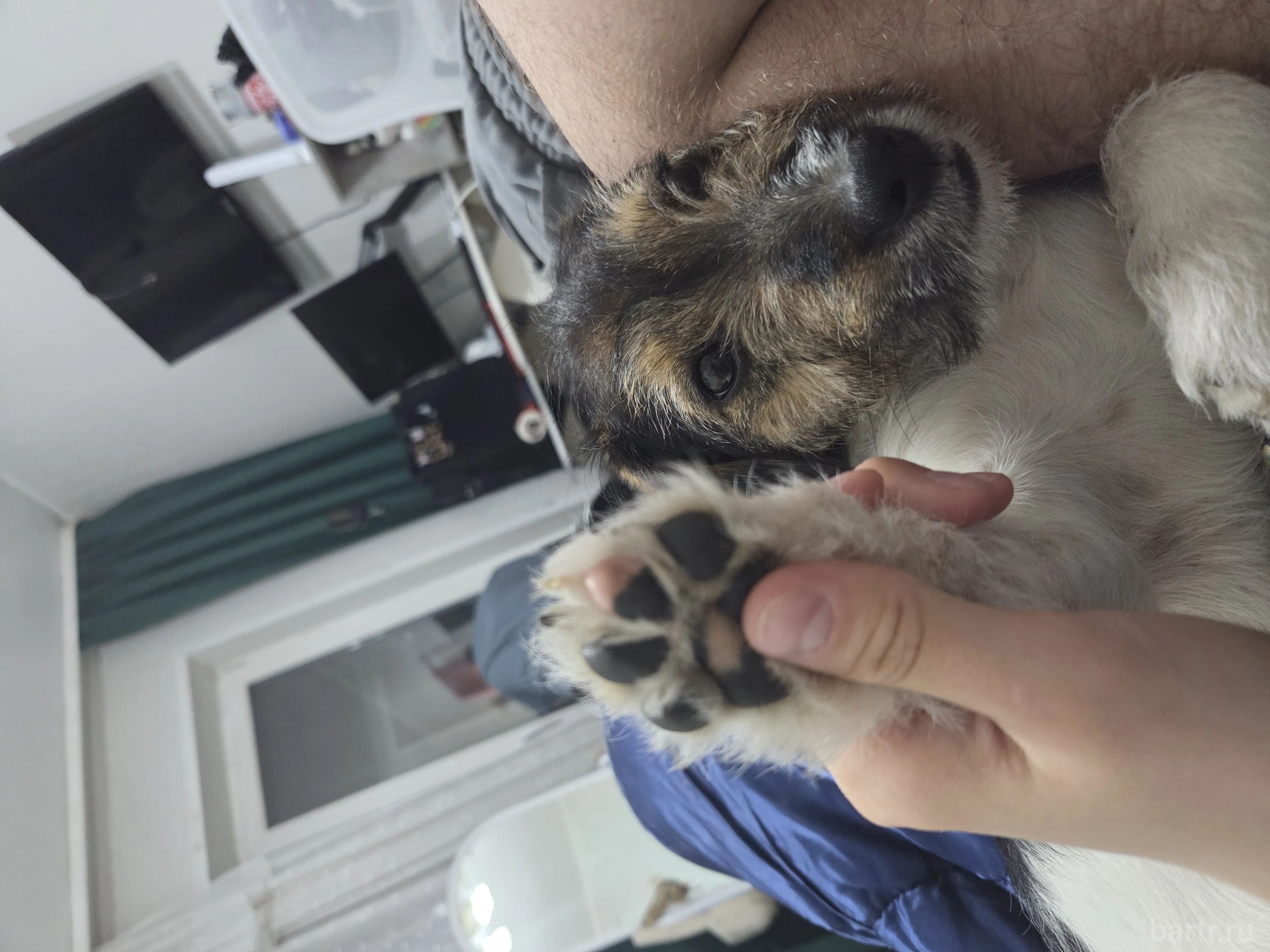 Миниатюра 2