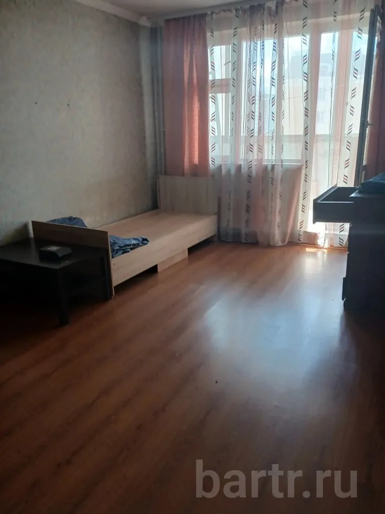 Миниатюра 5