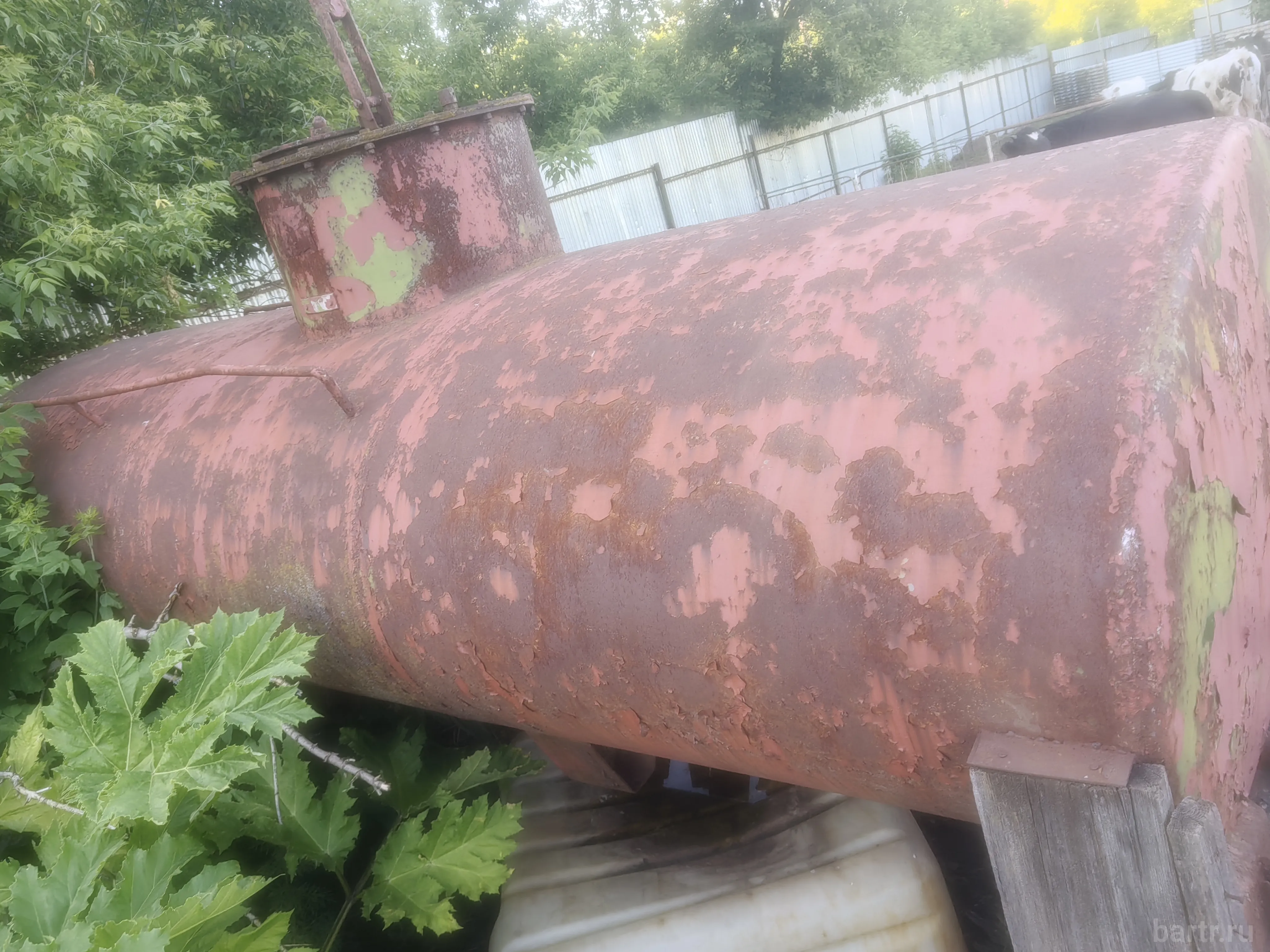 Миниатюра 4