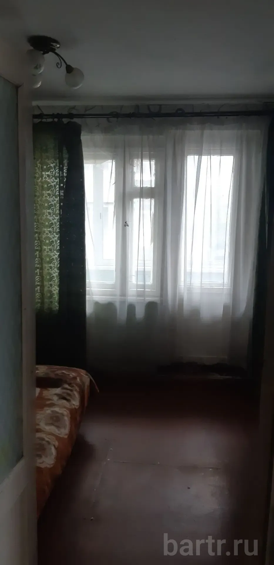 Миниатюра 4