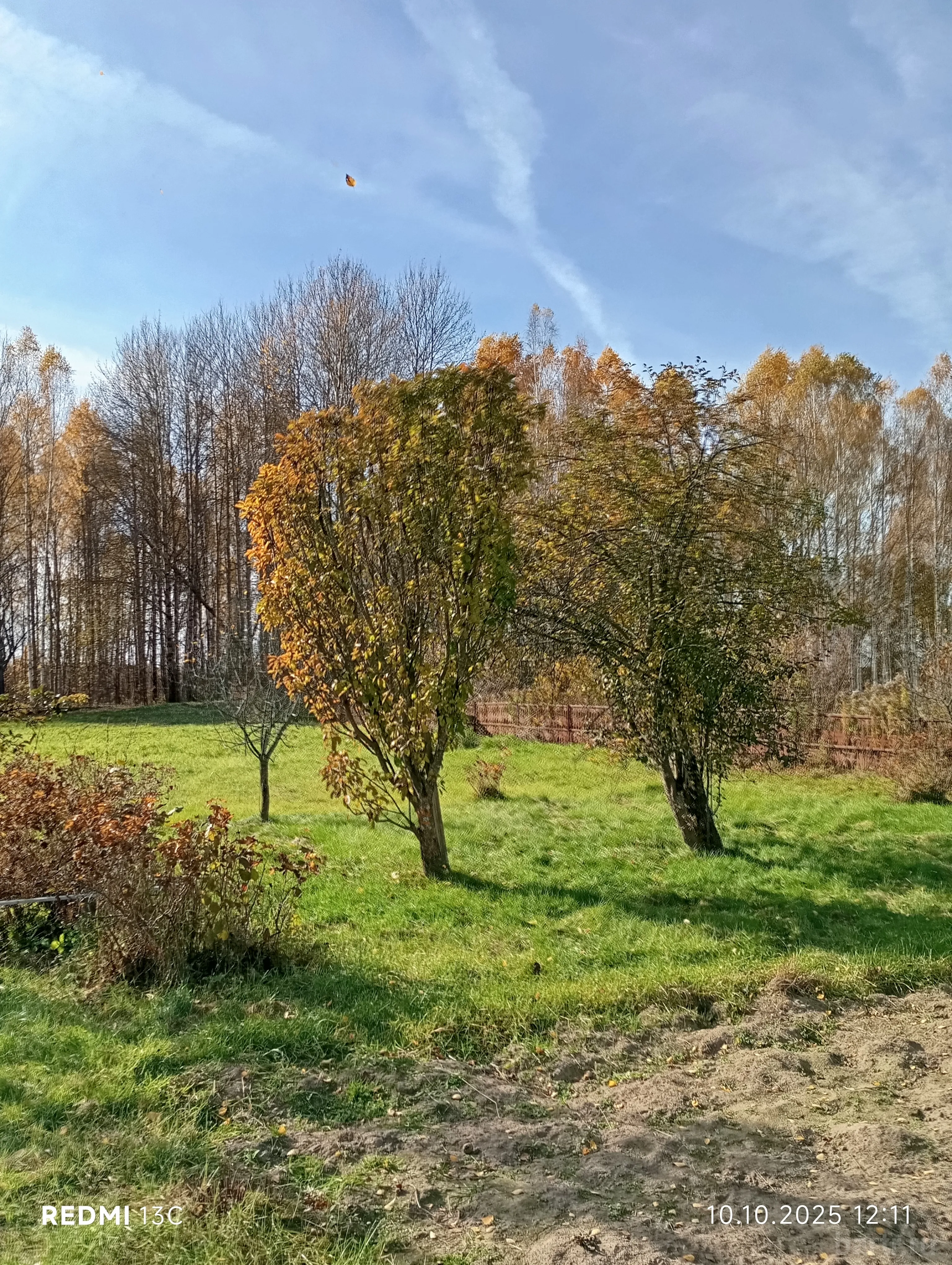 Фото: участок ИЖС