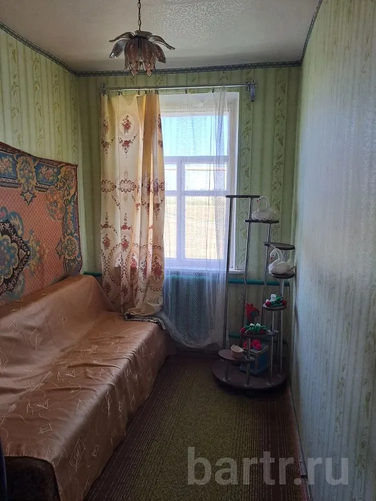 Миниатюра 3