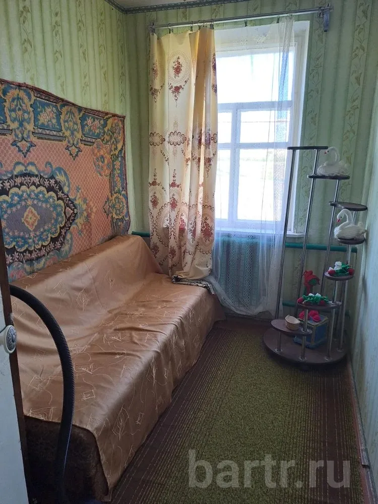 Миниатюра 4