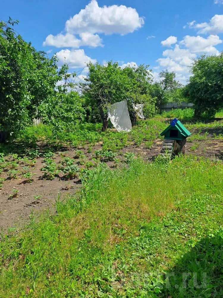 Миниатюра 6