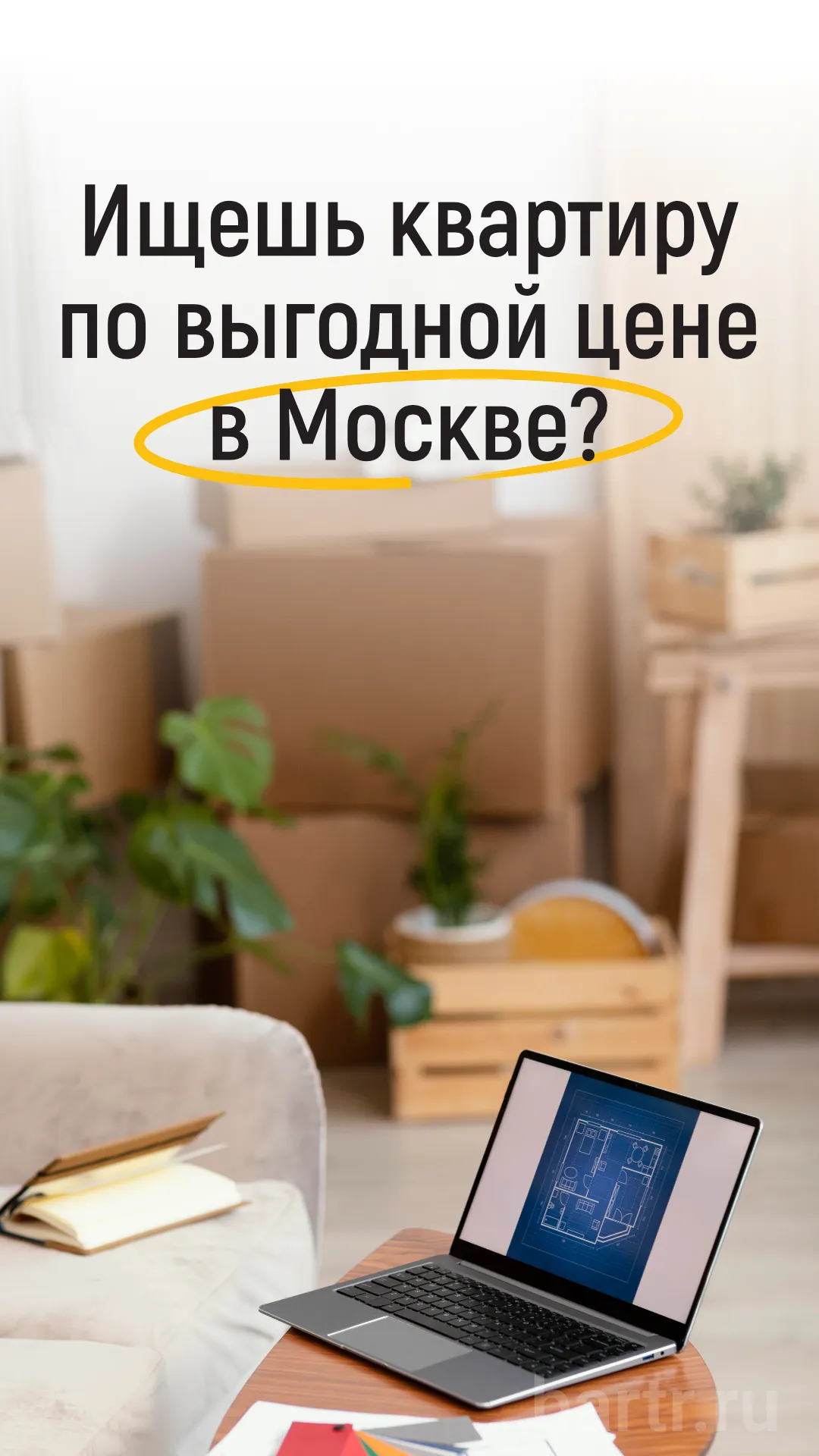 Миниатюра 3