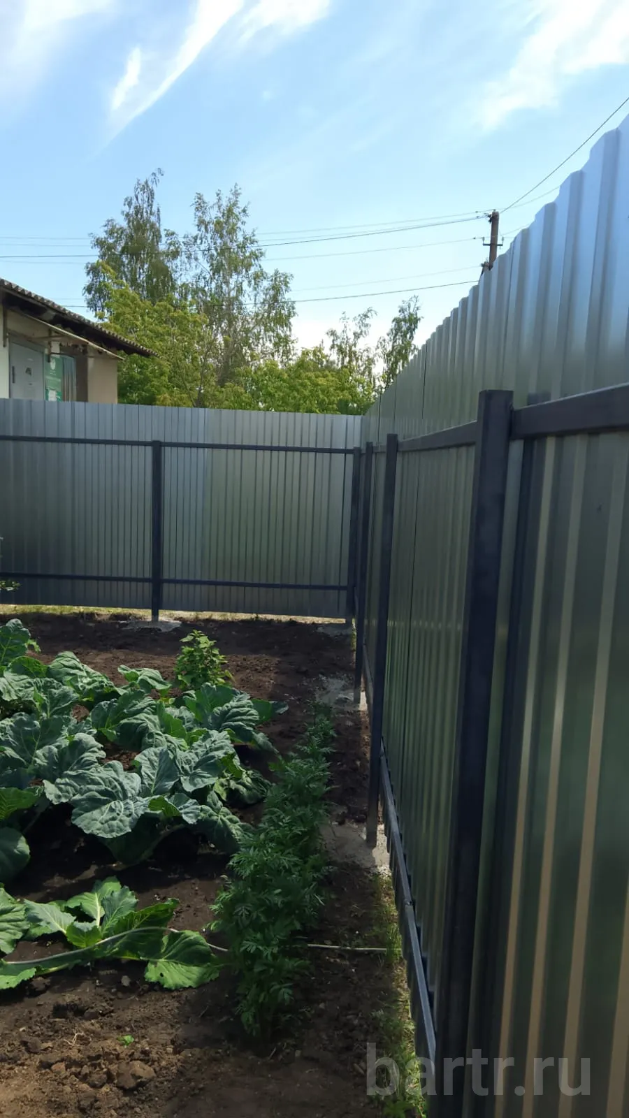 Миниатюра 5
