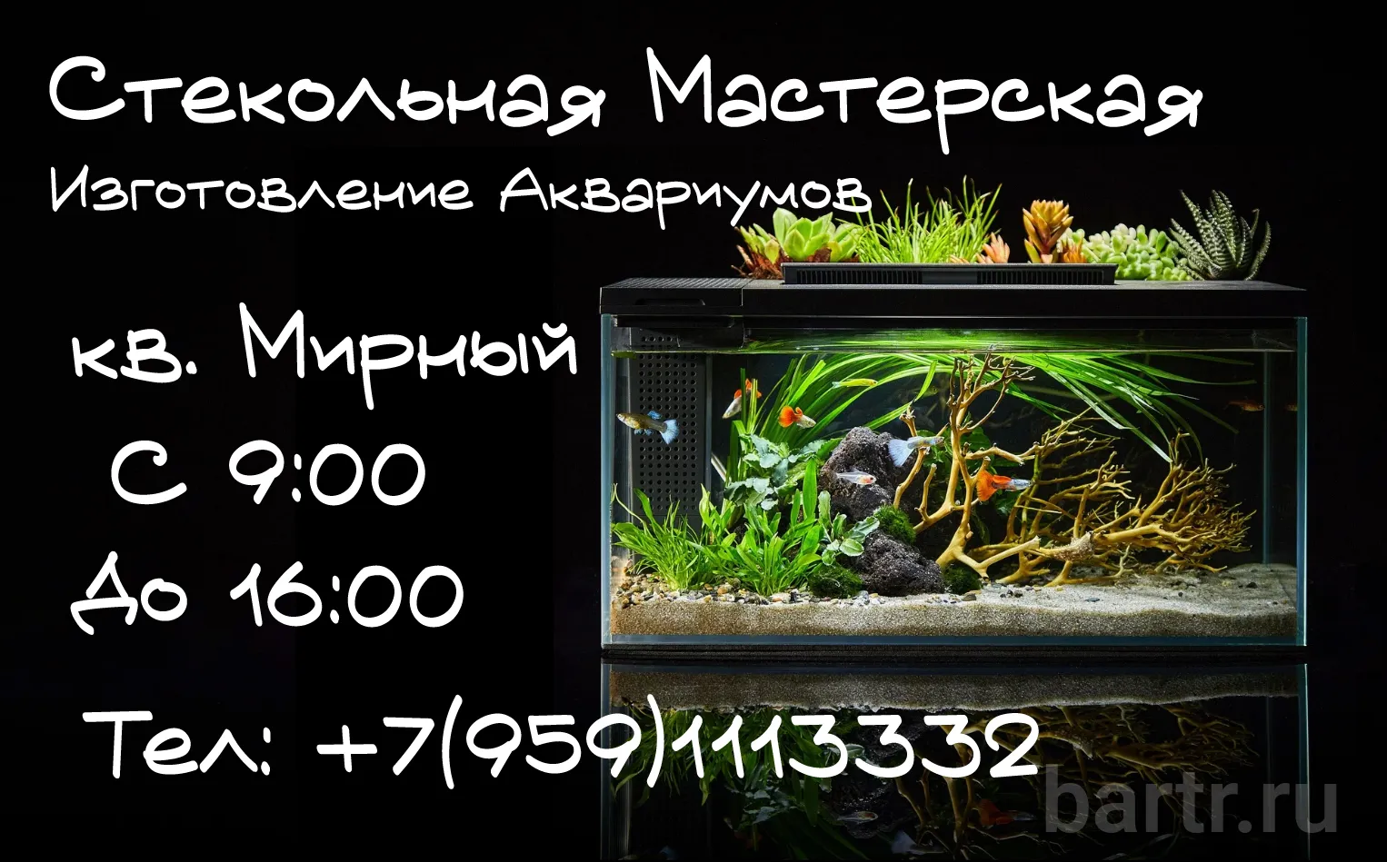 Миниатюра 6