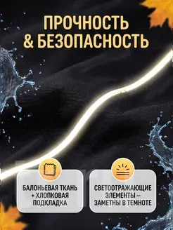 Миниатюра 5