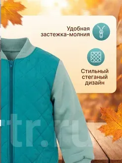 Миниатюра 5
