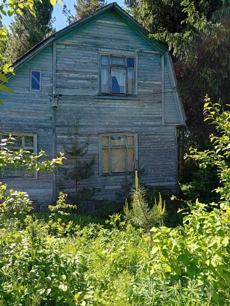 Фото: Прекрасный участок в лесу с домом