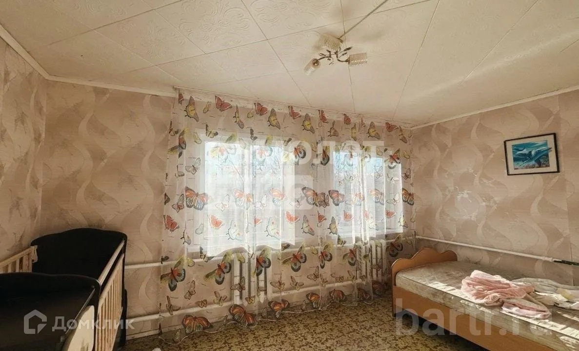 Миниатюра 4
