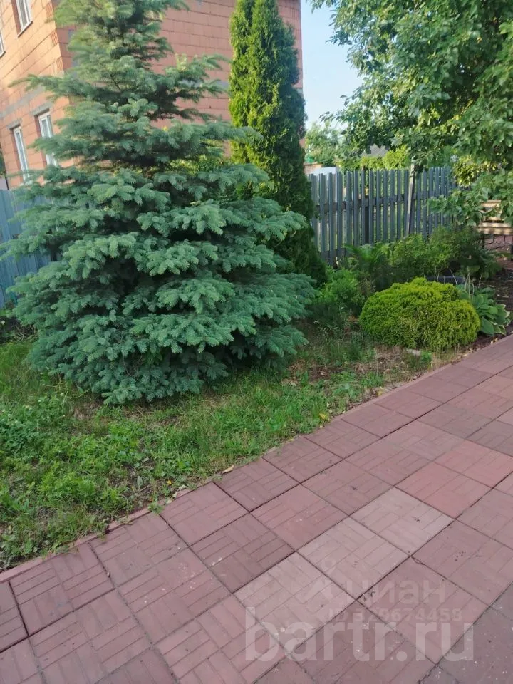 Миниатюра 15