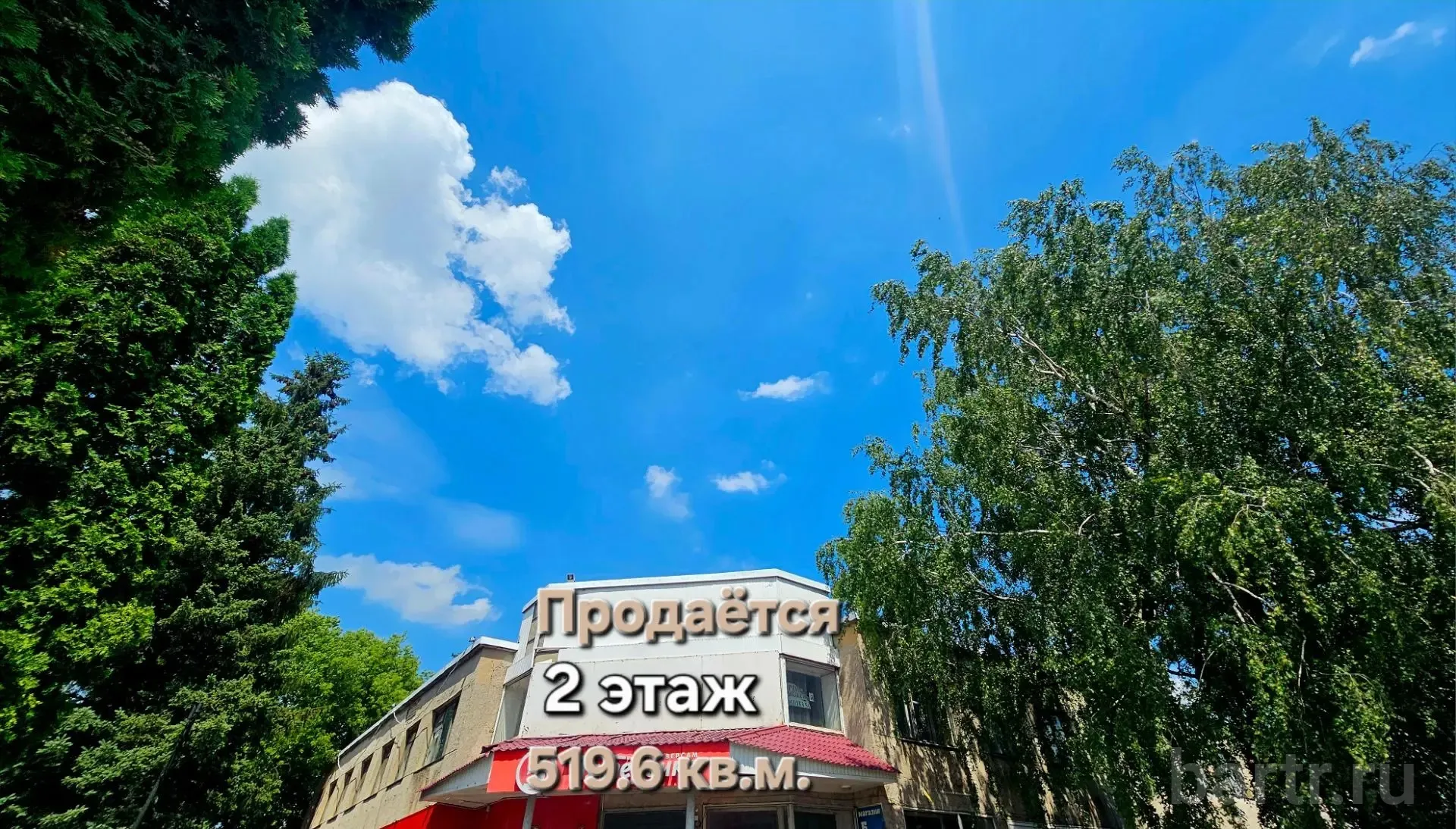 Миниатюра 3