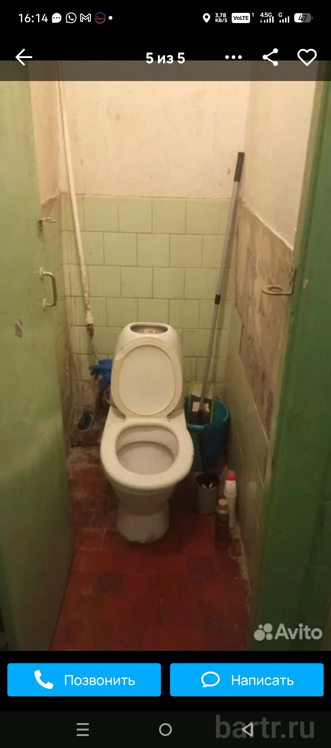 Миниатюра 4