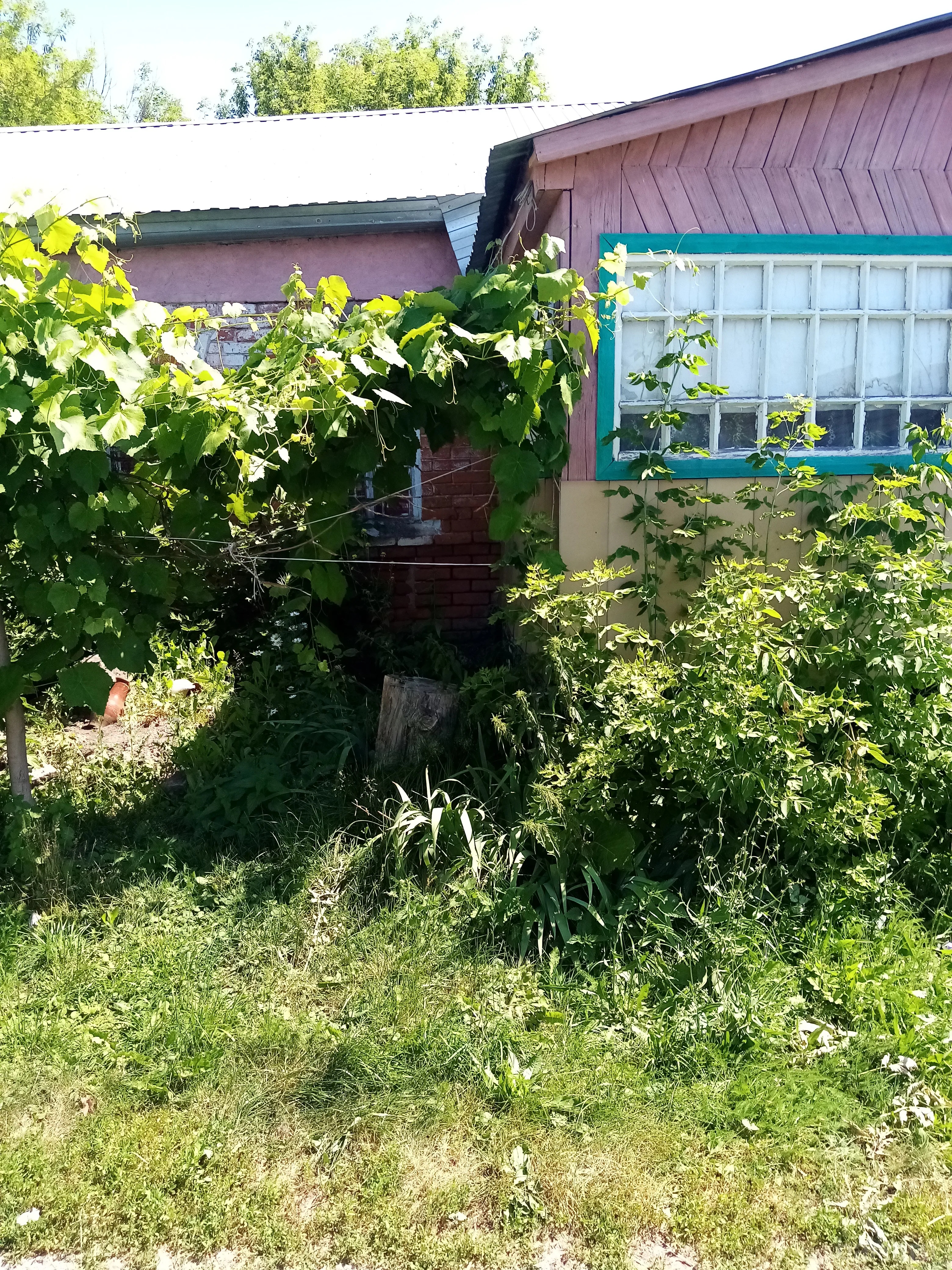 Миниатюра 2