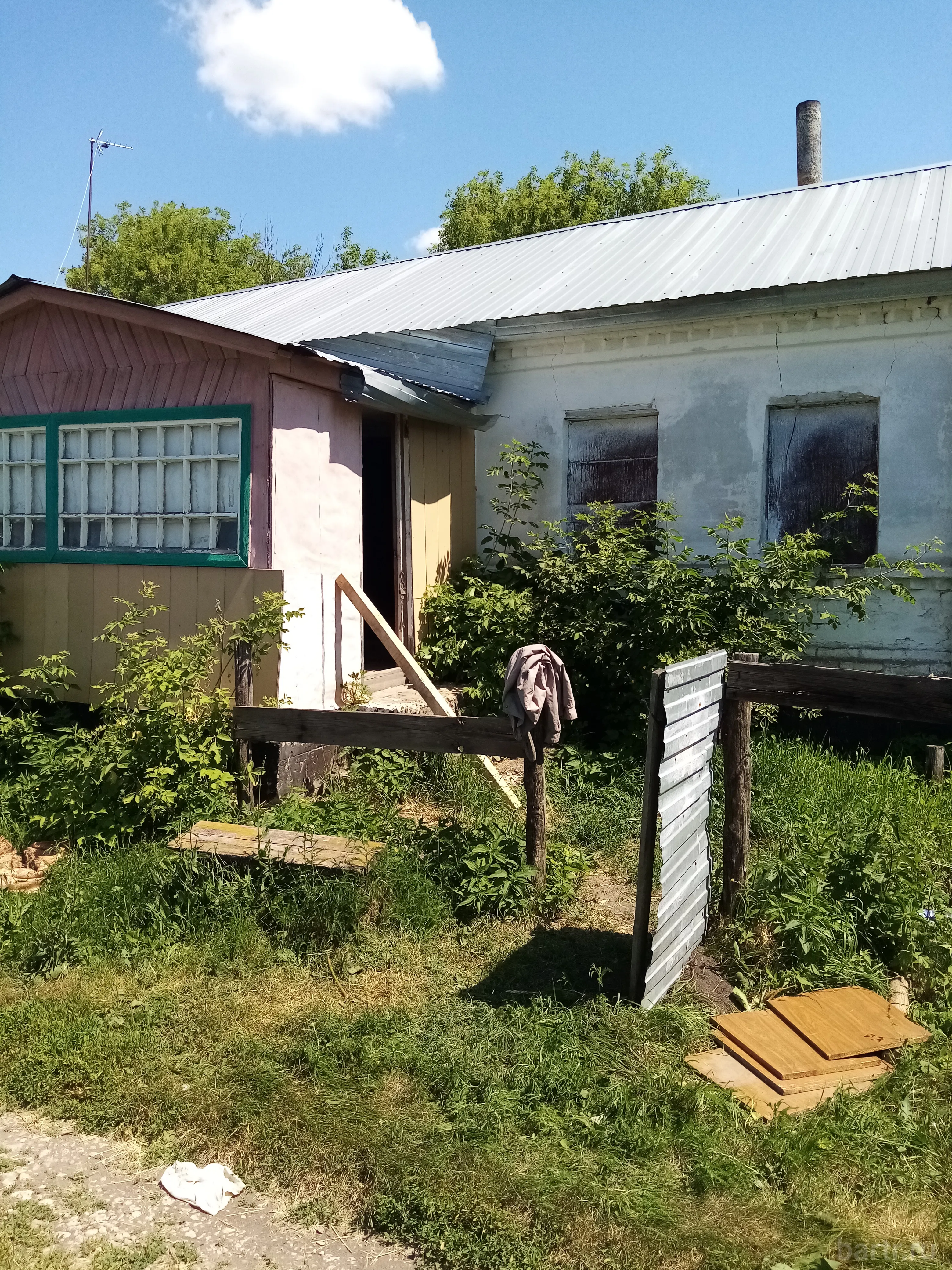 Миниатюра 3