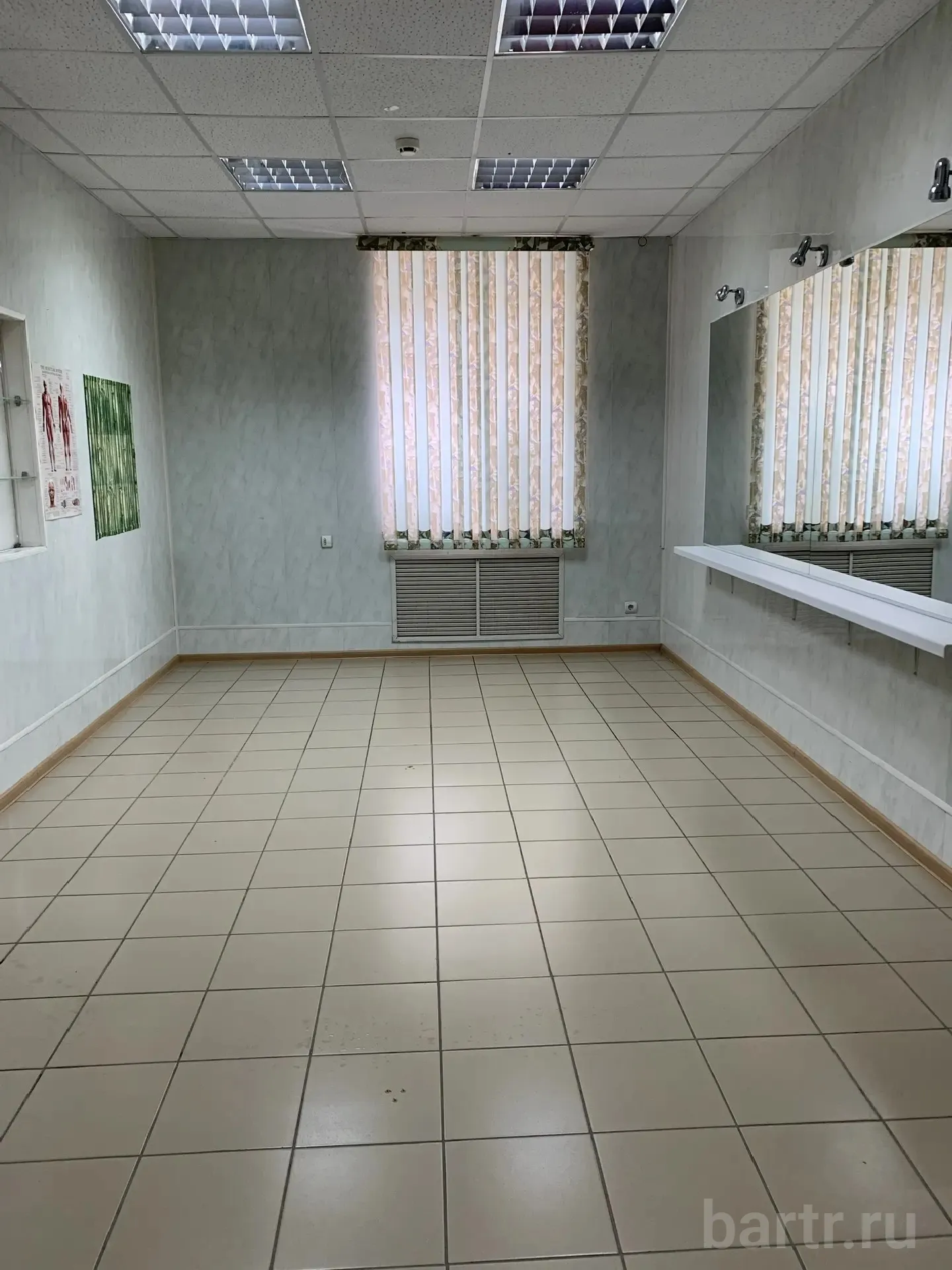 Миниатюра 4