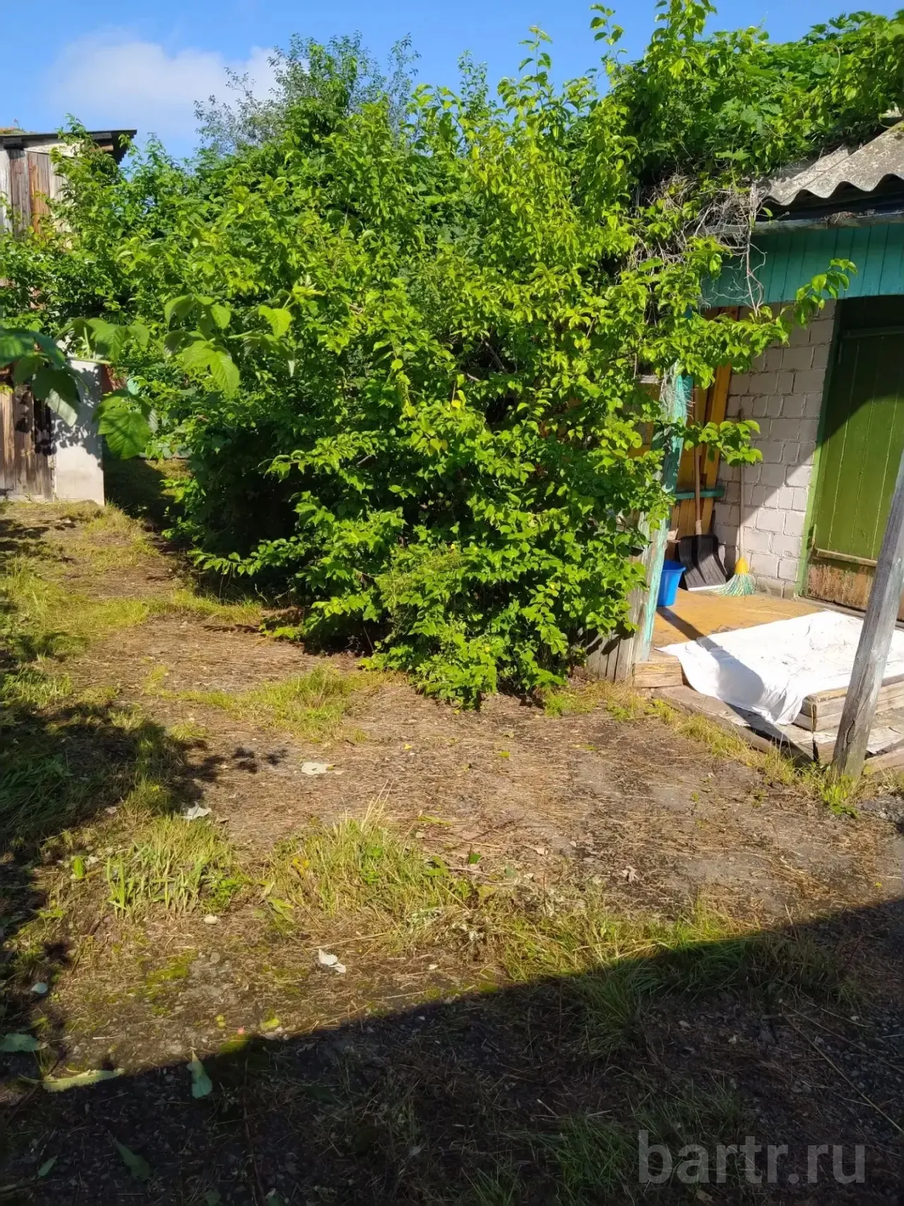 Миниатюра 11
